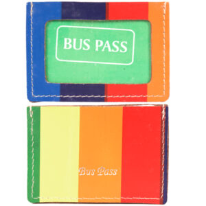 SMALL BUS PASS RAINBOW