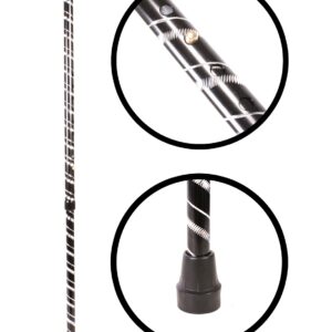 2880 BLACK WALKING STICK