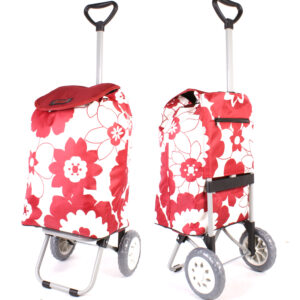 6957 RED WHITE FLOWER